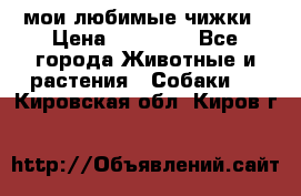 мои любимые чижки › Цена ­ 15 000 - Все города Животные и растения » Собаки   . Кировская обл.,Киров г.